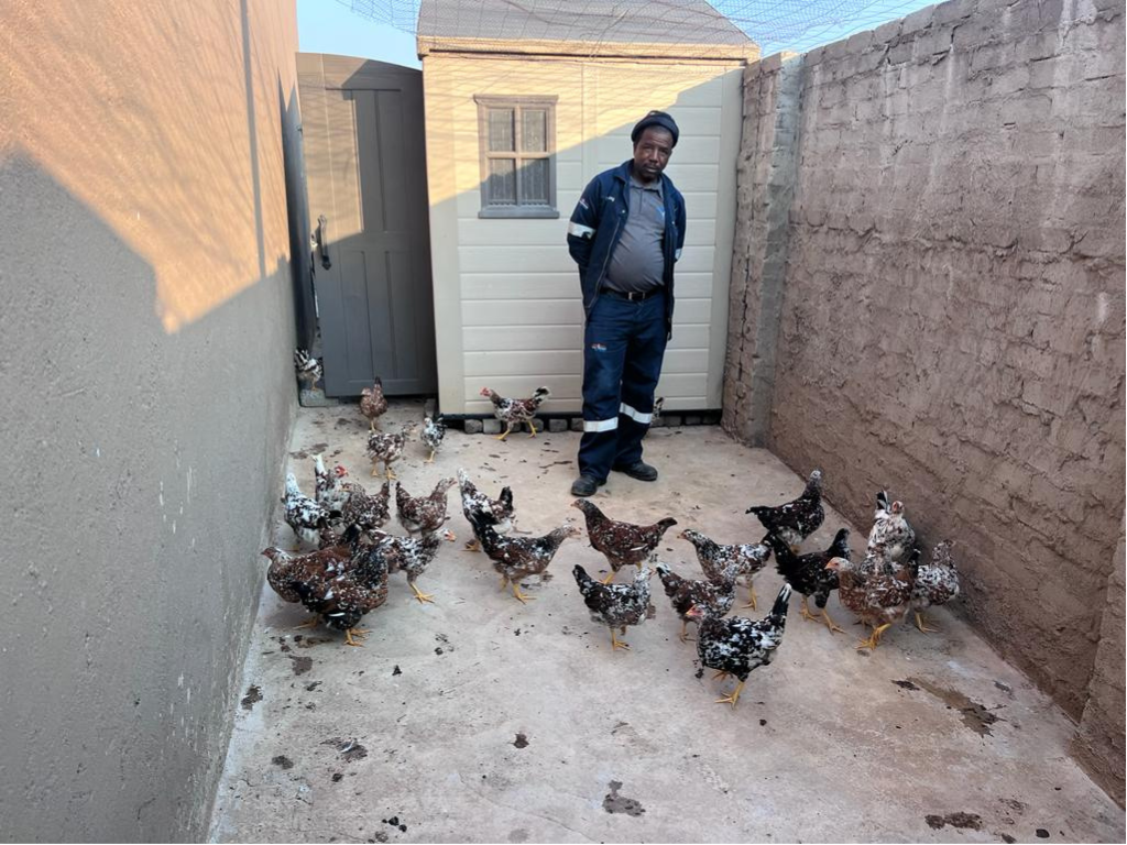 Mobirise Website Builder